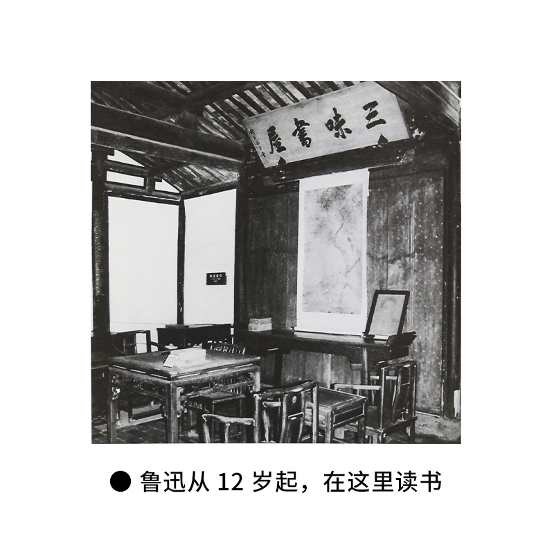 [正版]书店当代学术无法直面的人生鲁迅传修订本王晓明著现当代文学书籍书一部影响深远的鲁迅思想三联书店高清大图