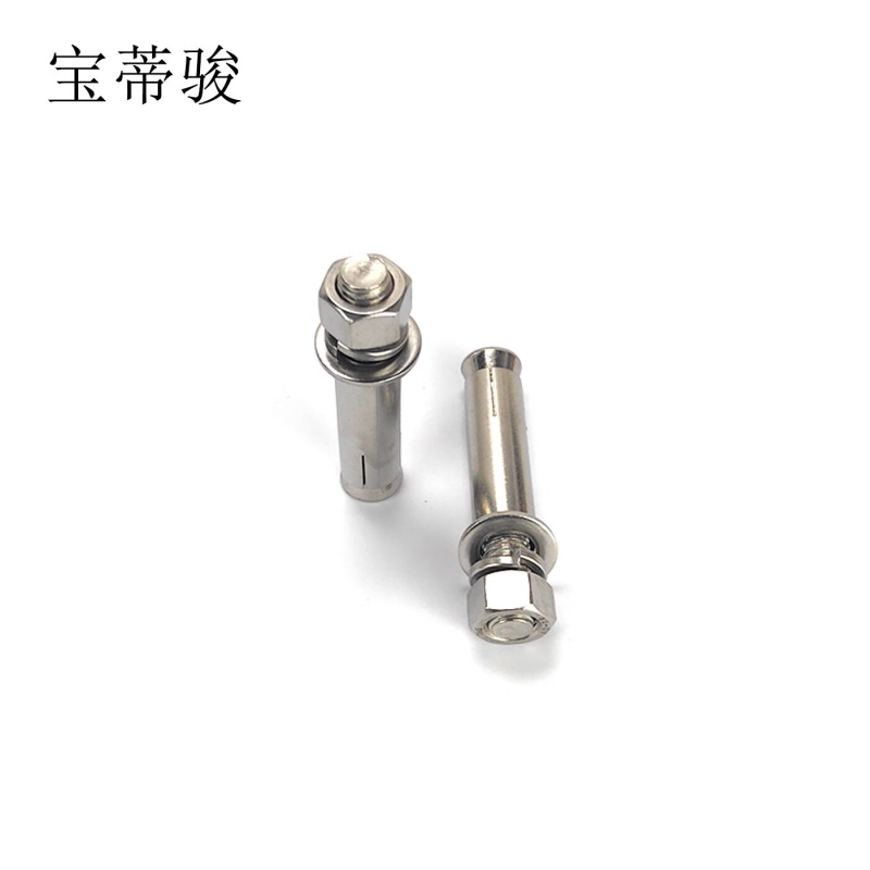 宝蒂骏 膨胀螺栓 M10*100 单位:100个/包高清大图