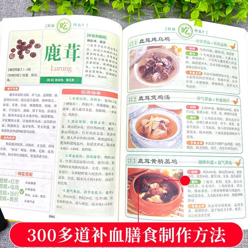 贫血吃什么禁什么 [正版]贫血吃什么禁什么 书籍贫血可以吃什么不可以吃什么应该吃什么不应该吃什么一本全书籍