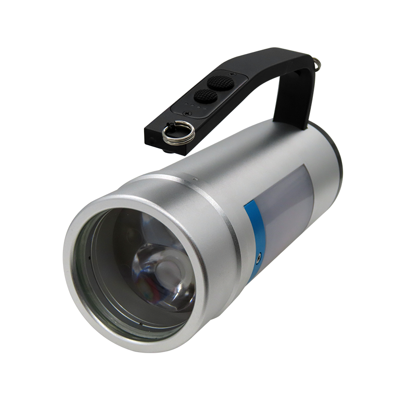 RECEN日昇之光(RECEN)RST8203-G-12W 手提式防爆探照灯(货期10天)