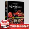 【软精装】远古精灵：玛瑙·琥珀收藏与鉴赏 世界高端文化珍藏图鉴大系书图