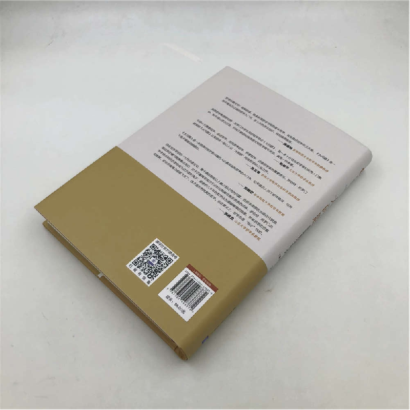 正版新书]大问题:简明哲学导论(美)罗伯特·所罗门(Robert C.Solo高清大图