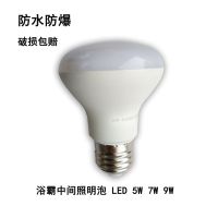 浴霸中间照明灯泡40W浴霸照明灯泡LED3W5W7W9W防水防爆浴霸小灯泡 E27R63节能 LED照明 5W白光2个