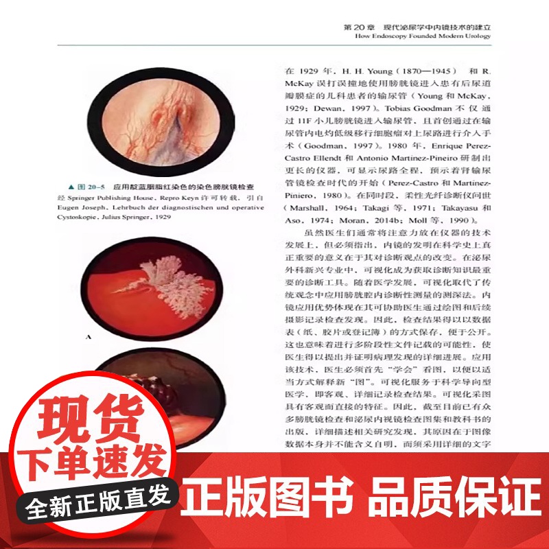 [央视网]泌尿肿瘤学 张骞 主译 前列腺癌膀胱癌肾癌睾丸肿瘤 泌尿系统恶性肿瘤 组织病理学 靶向治疗等ZK DF高清大图