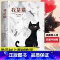我是猫 【正版】我是猫 夏目漱石 日本中文外国文学书籍日本文学小说经典世界名著现代文学书籍高中成人课外阅读外国文学籍名国