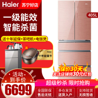 海尔（Haier）BCD-405WDGQU1 405升 多门冰箱 风冷无霜 一级能效 变频 对开门冰箱干湿分储（玫瑰金）