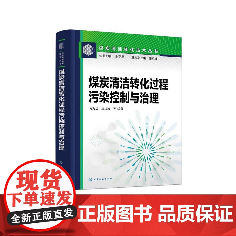 煤炭清洁转化过程污染控制与治理高清大图