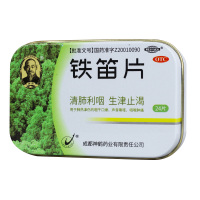 新希臣铁笛片24片