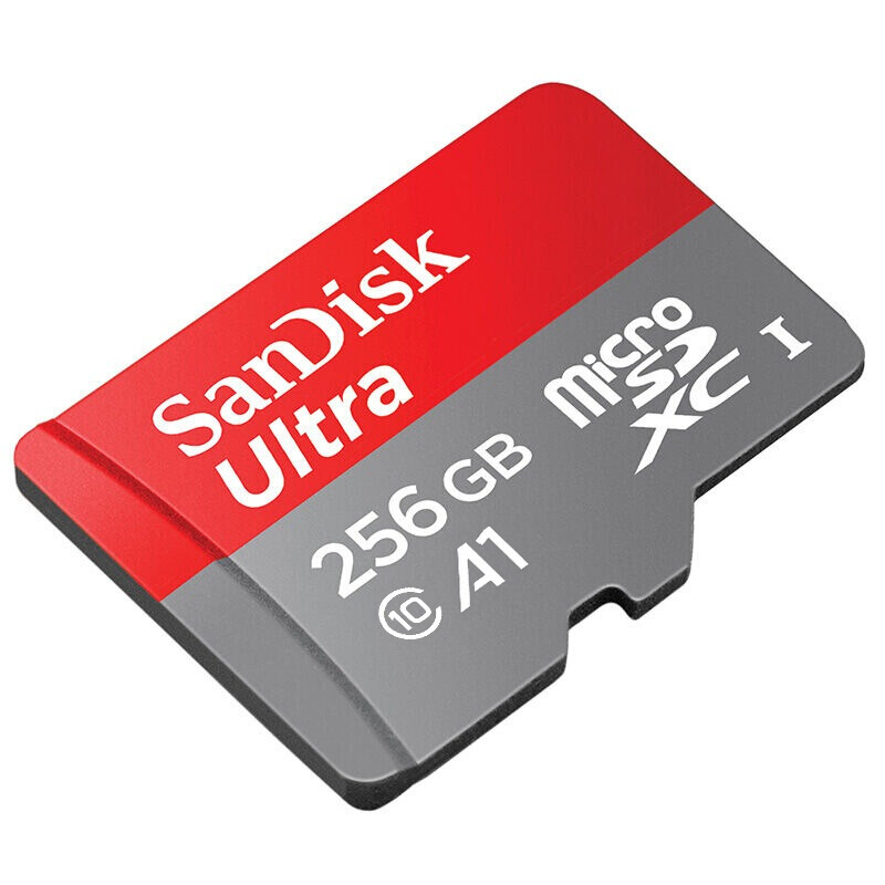 闪迪(SanDisk)TF卡256G 读100M A1版 记录仪手机内存卡 ns任天堂switch存储卡高清大图