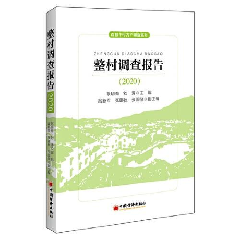 正版新书]整村调查报告(2020)耿明斋;刘涛9787513667739高清大图