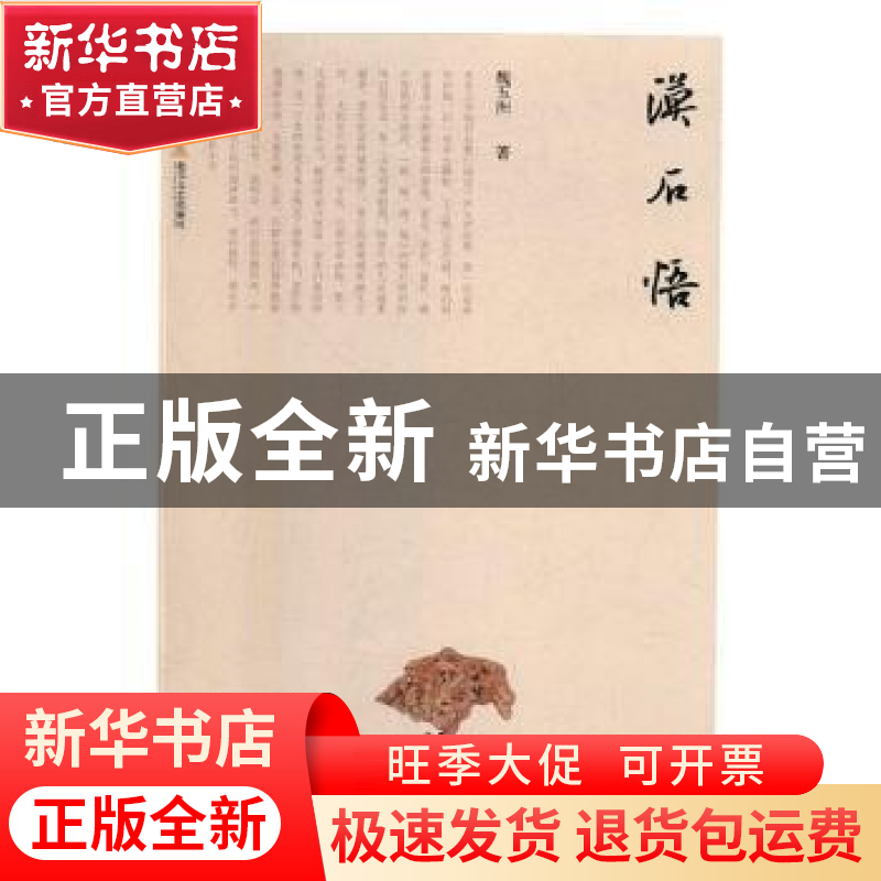 正版 漠石悟 魏五洲著 北岳文艺出版社 9787537853583 书籍