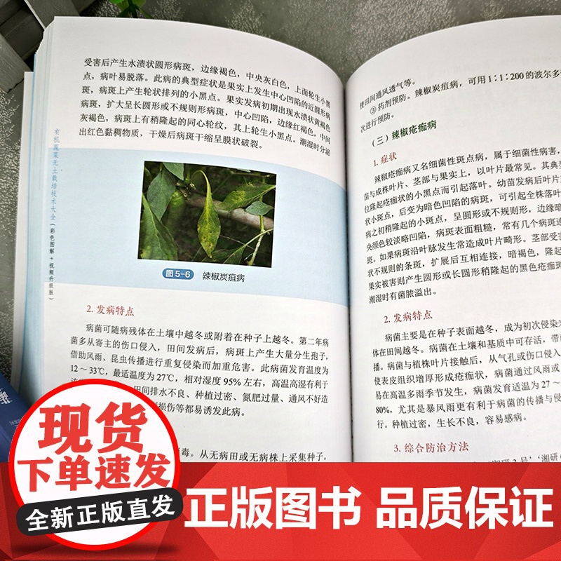 有机蔬菜无土栽培技术大全 彩色图解 视频升级版 有机蔬菜无土栽培技术基本概念和相关设备 蔬菜企业技术人员 专业菜农应用参高清大图