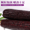 宁百晟黑糯玉米 220g*8根