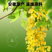 杞里香 决明子罐装 500g