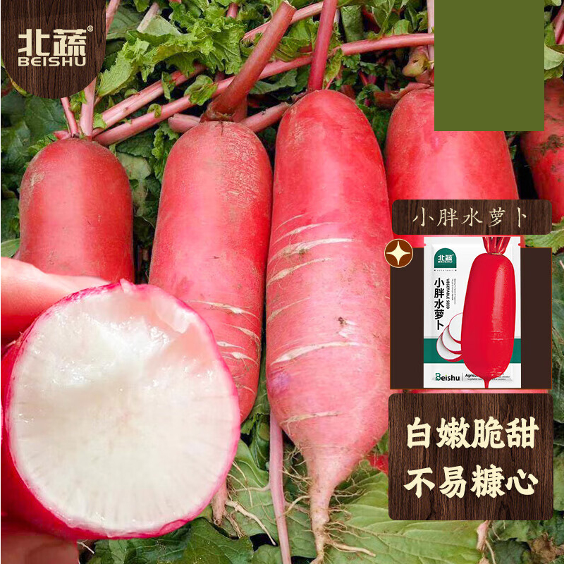 萝卜种子 白心满身红水萝卜 10g/袋