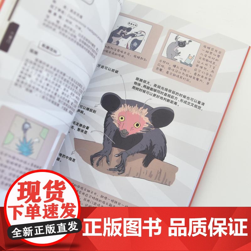 动物江湖 意想不到的动物技能大揭秘 动物的妙想 江湖博物大百科不一样的动物科普书籍高清大图