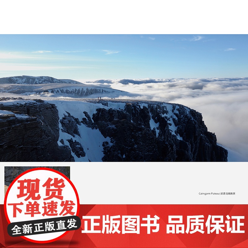 岩上时光 自然文库 [英]安娜·弗莱明 著 商务印书馆高清大图