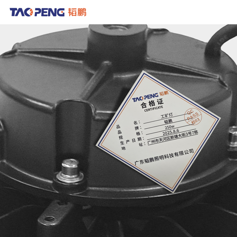 韬鹏 工矿灯 250w 个高清大图