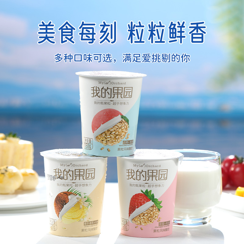 来思尔我的果园白桃燕麦酸奶150g*12杯 高原牧场大理风味酸牛奶 冷链运输新鲜到家