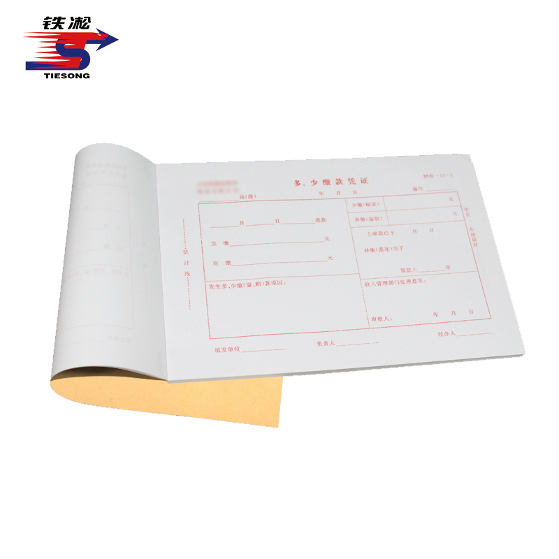 铁凇 多少缴款凭证 财收-11-1 3*30组 A5 册高清大图