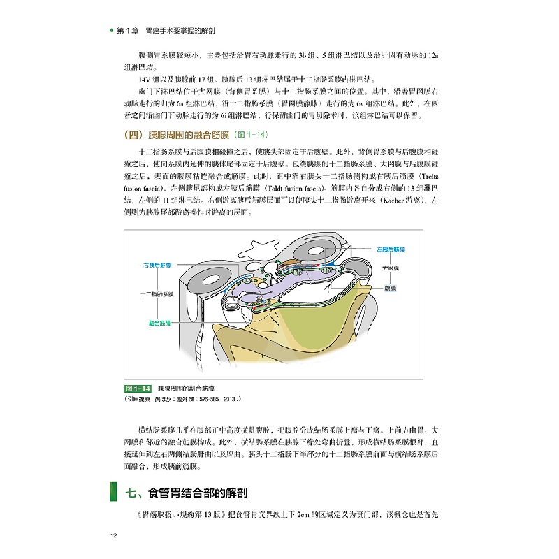 醉染图书寺岛式日本静冈癌中心胃癌手术9787559125286高清大图