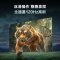 海尔(Haier)55A60C 55英寸120Hz高刷4K超高清全面屏6+64GB智能电视一级能效