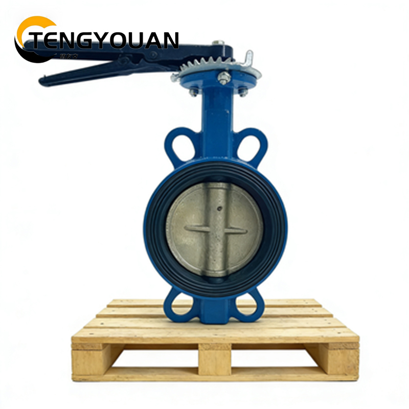 腾友安对夹蝶阀DN65/个高清大图