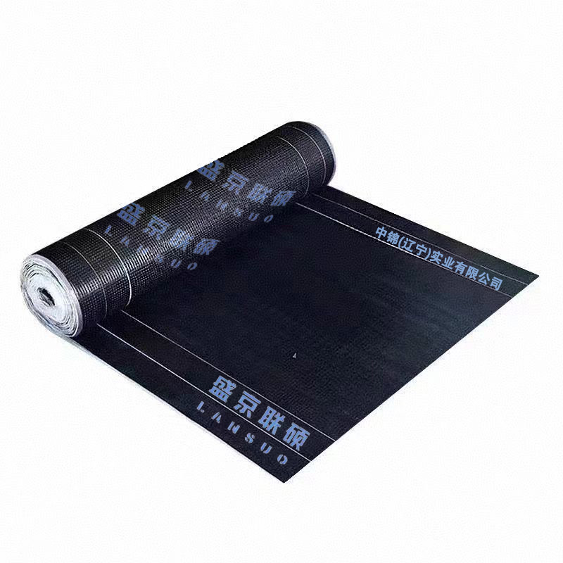 盛京联硕 SBS弹性体改性沥青防水卷材 SBS I PY PE PE 4 10 卷