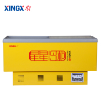 星星(XINGX) SD-436BP 436升 卧式冷柜 冷冻冰柜 岛柜 商用展示柜 推拉门 全冷冻