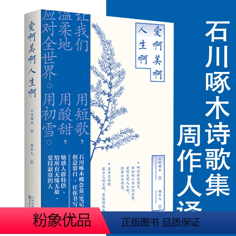 【正版】爱啊美啊人生啊 石川啄木著周作人译日本文学诗集时代的剪影短歌集现当代文学散文诗歌词曲书籍