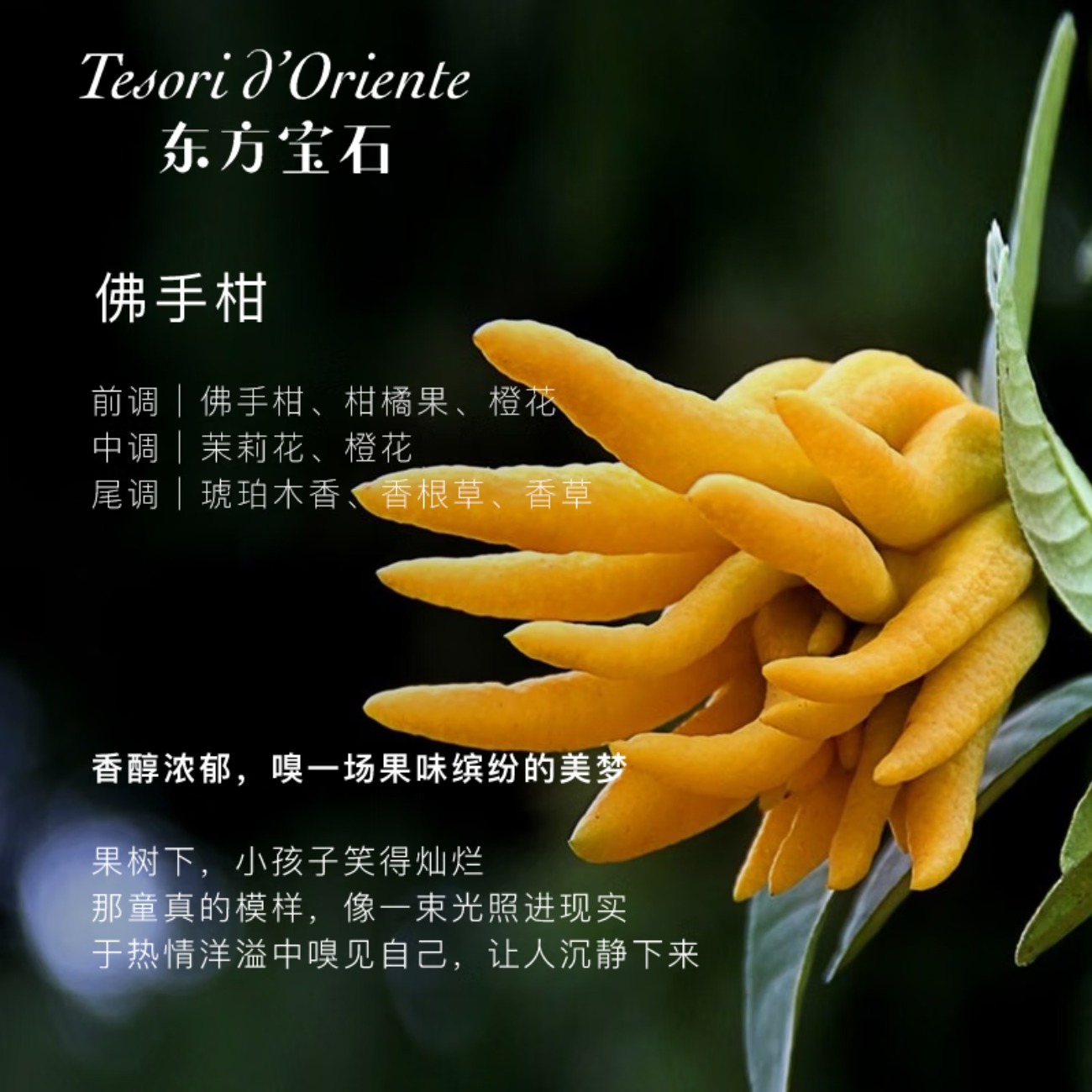 东方宝石 土耳其风情香氛沐浴露500ml高清大图