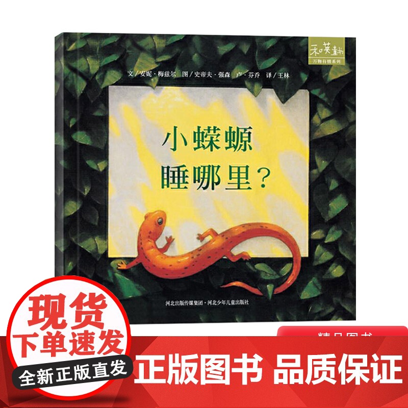 小蝾螈睡哪里硬壳精装绘本图画书和英正版童书高清大图