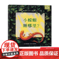小蝾螈睡哪里硬壳精装绘本图画书和英正版童书