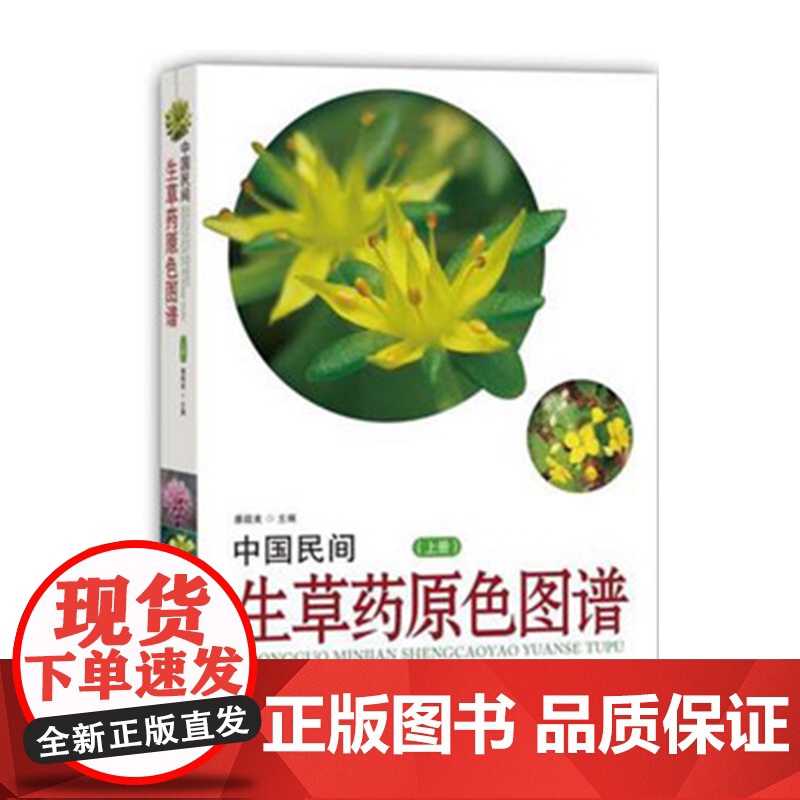 中国民间生草药原色图谱(上册)902种生草药 中草药材大全 中药 配方 野生中药图解 中草药彩图大全书 图解 中医药草高清大图