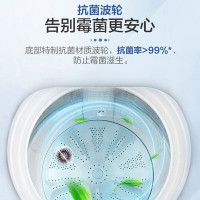 Haier海尔洗衣机 波轮洗衣机全自动10公斤家用大容量 健康除螨洗幂动力智能预约内筒免清洗抗菌波轮MB100-F258