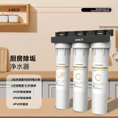 松润(SOR) SOR-A108 商用除垢净水 700L/h 阻垢总水量50吨