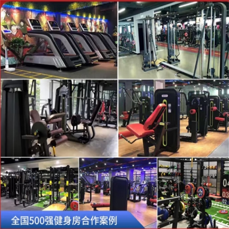 舜灏 框式深蹲架SH-EM983高清大图
