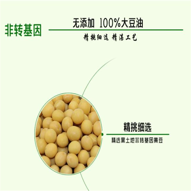 臻溢农 非转基因大豆油 三级植物食用油 5升装