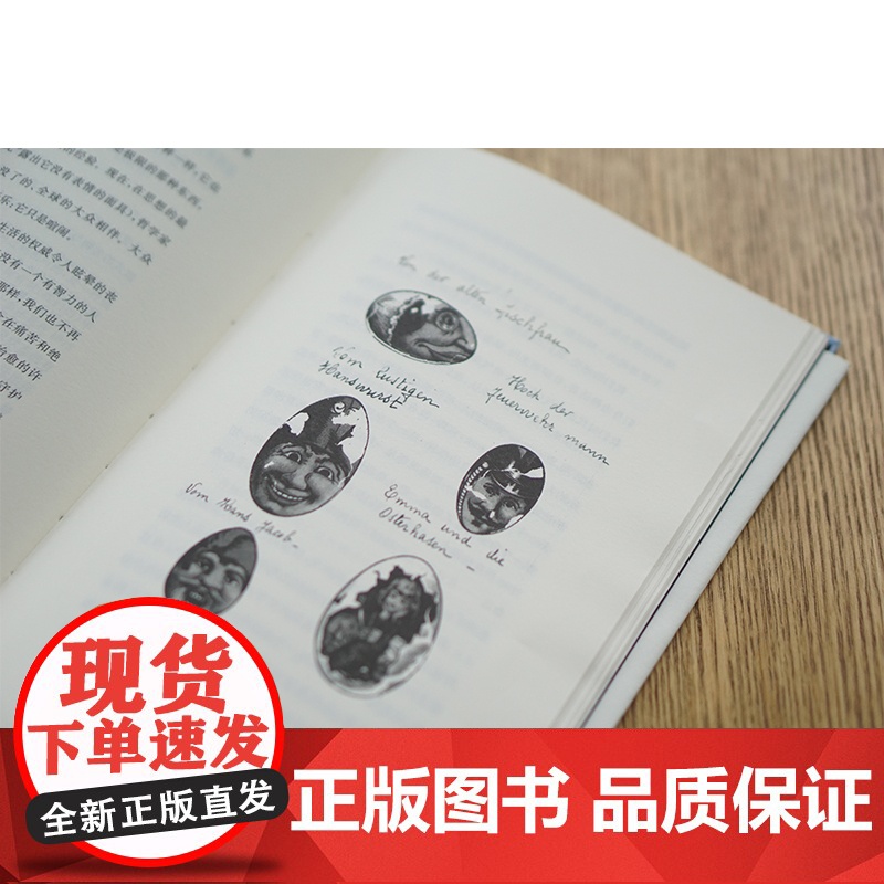 散文的理念(精)/当代激进思想家译丛 吉奥乔 阿甘本 折射集 南京大学出版社 哲学知识读物 美学文学读物高清大图