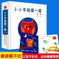 全4册0-3岁触摸书小小手指摸一摸启蒙认知感官刺激凹凸洞洞绘本 小手摸一摸 动物