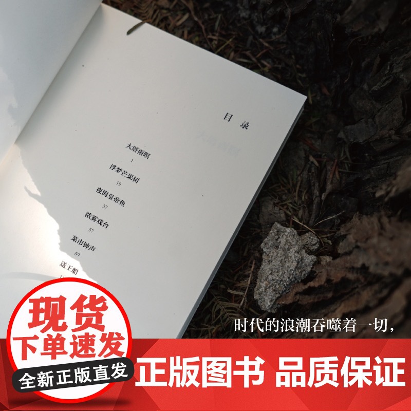 2024豆瓣年度书单]岛屿的厝 龚万莹 著 中国现当代文学 中信出版社高清大图