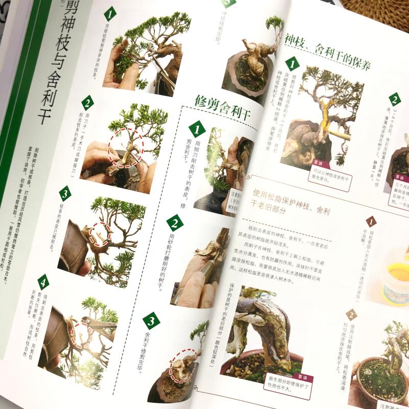[醉染正版]树木盆景制作完全图解 盆景书籍盆栽书籍 盆景造型设计图盆景制作书养护书籍盆景艺术造型书树木盆景造型设计书高清大图