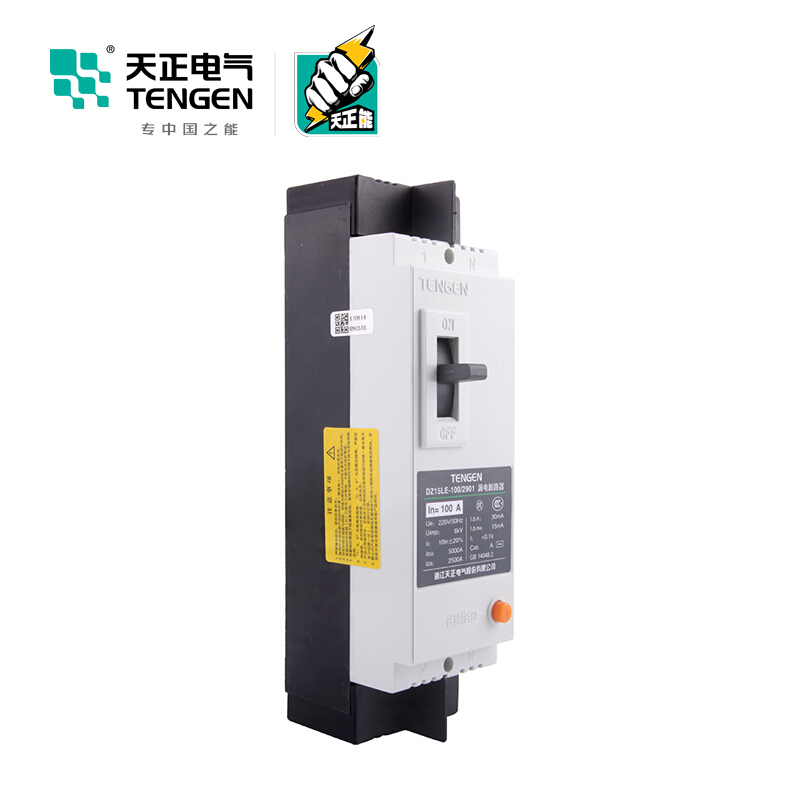天正电气DZ15LE-100 5KA热磁式100A 2P 手动 固定式 220V 01020010008 塑壳漏电断路器