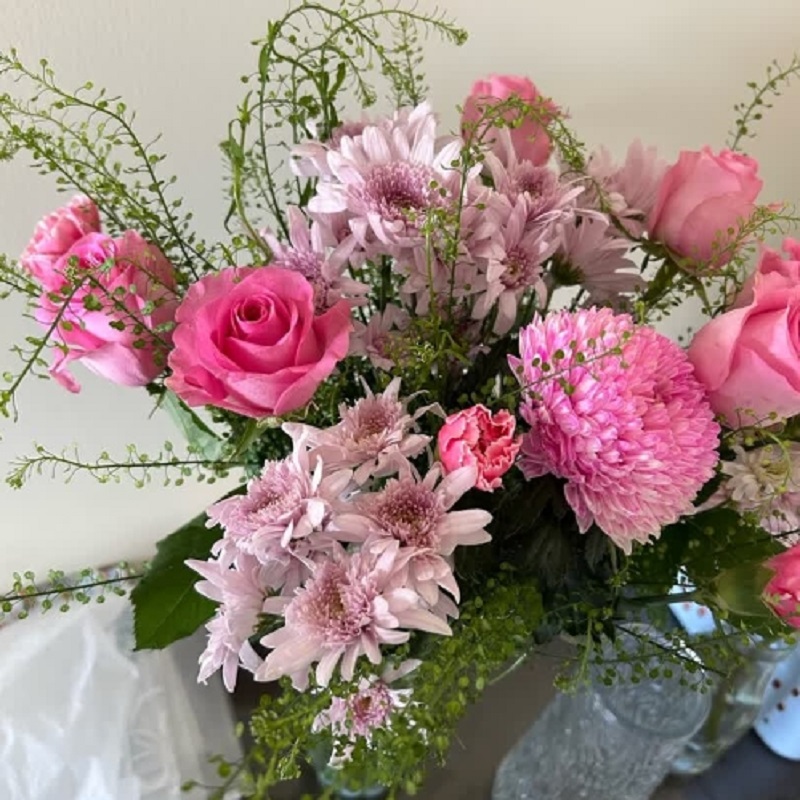 雏菊鲜花高清大图