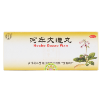 同仁堂 河车大造丸 9g*10丸