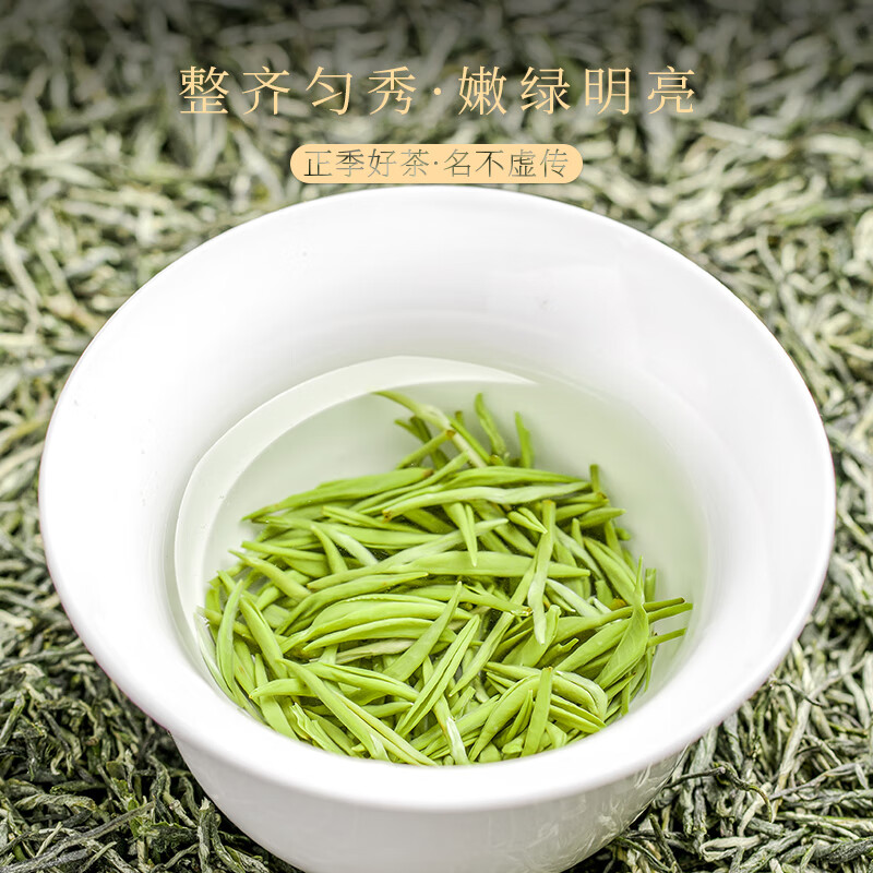 天洲溪天洲溪绿茶毛尖天洲溪绿茶 信阳毛尖 新茶明前新茶嫩芽 茶叶礼盒装新老包装 随机发货高清大图