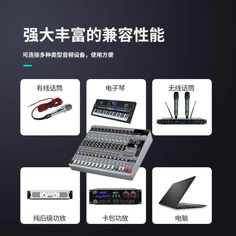 润普Runpu 国产化专业会议十二路调音台12路舞台户外演出大型带混响效果调音台RP-MG12高清大图