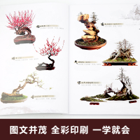 [正版]图解树木盆景制作与养护 盆景书籍盆栽图书大全树木盆景造型设计书栽培技术盆景栽培技术书中小型盆景制作图解家庭园艺