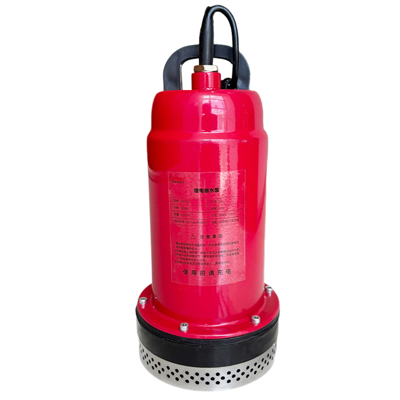 卫未来 锂电抽水泵 QN2-20 台高清大图