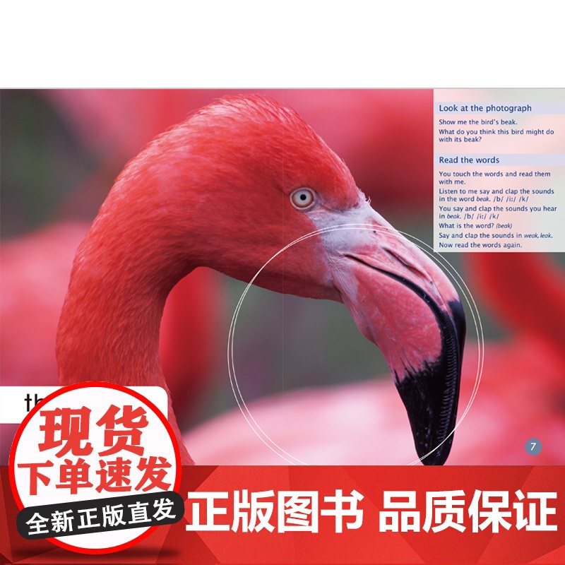 [外研社]多维阅读预备级(上)教学指导高清大图